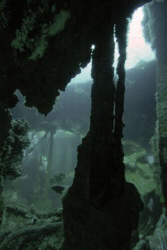 Indra Wreck, Carolina.  D70, 12-24 mm lens, no strobe.  by David Heidemann 